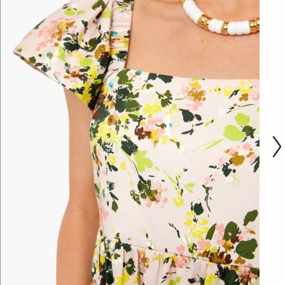 Tuckernuck Cecily Dress in Blush Meadow floral midi dress NWT - Picture 3 of 14